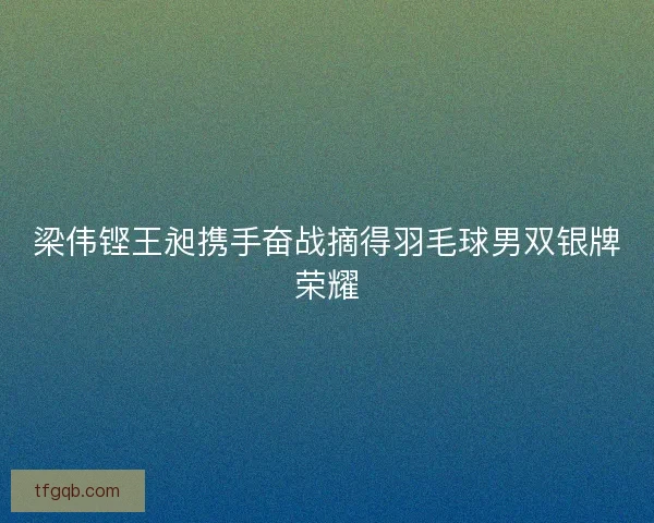 梁伟铿王昶携手奋战摘得羽毛球男双银牌荣耀